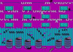 חתול רחוב - Alley Cat